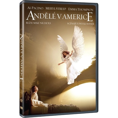 Andělé v Americe DVD