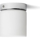Rendl R12199