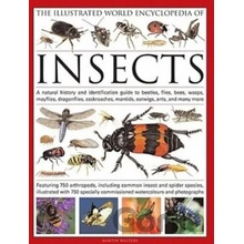 Illustrated World Encyclopaedia of Insects Walters Martin