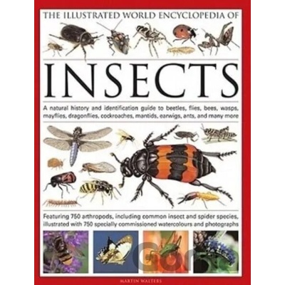 Illustrated World Encyclopaedia of Insects Walters Martin