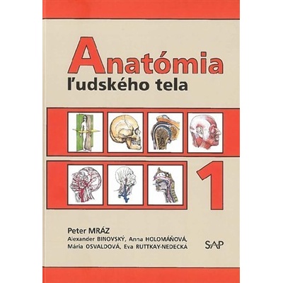 Anatómia ľudského tela 1