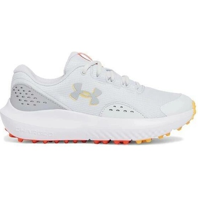 Under Armour Y Surge Jr grey