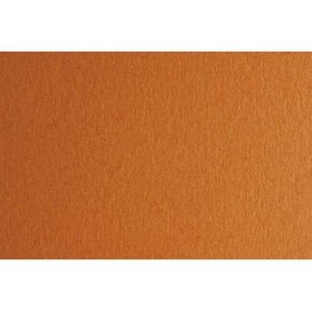 Fabriano Картон Colore, 50 x 70 cm, 140 g/m2, № 223, светлок (1530100059)