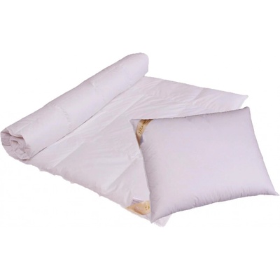 2G súprava Regina 135x220 70x90 1000g