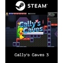 Cally’s Caves 3