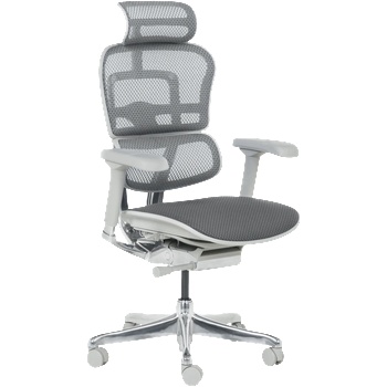 Image 1 of Ergohuman Ергономичен стол ergohuman elite 2 - сива рамка - сив (3520664_1)