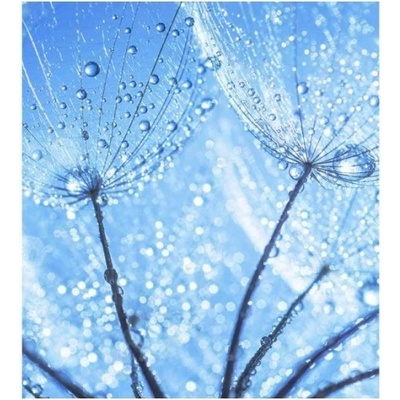 DIMEX ART Флизелинов фототапет водни капки върху глухарче 225 x 250 см