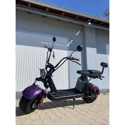EcoWheel GR40 20Ah 1500W COC