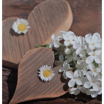 Fandy Fotoalbum samolepící DBLP-30 Firry 2
