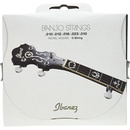 Ibanez IBJS5