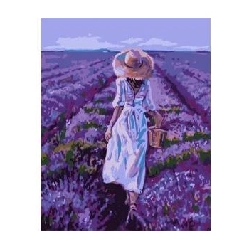 Qbee Paint by numbers - Lavender field 40x50cm