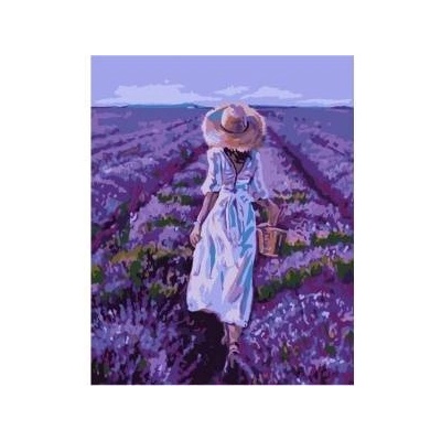 Qbee Paint by numbers - Lavender field 40x50cm