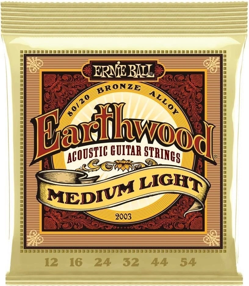 Ernie Ball 2003