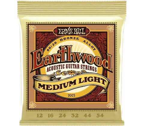 Ernie Ball 2003