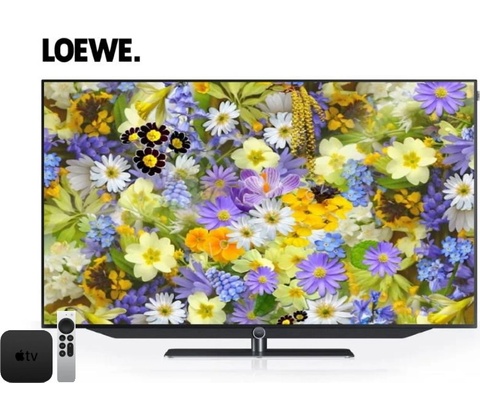 Loewe bild v.55 (OLED)