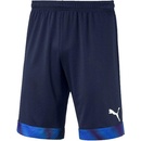 Puma Cup