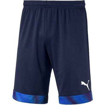 Puma Cup