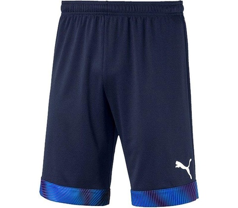Puma Cup