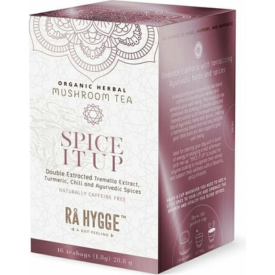 Ra Hygge BIO Spice It Up bylinný čaj s Tremella 16 ks