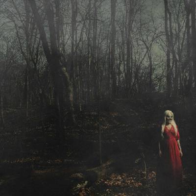 156/Silence - From a Distance CD