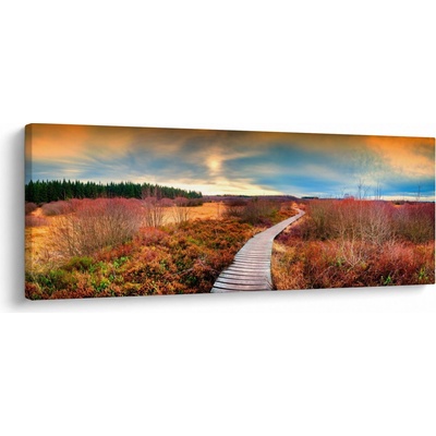 Obraz - Podzimní cesta krajinou, jednodílný 145x58 cm – Hledejceny.cz