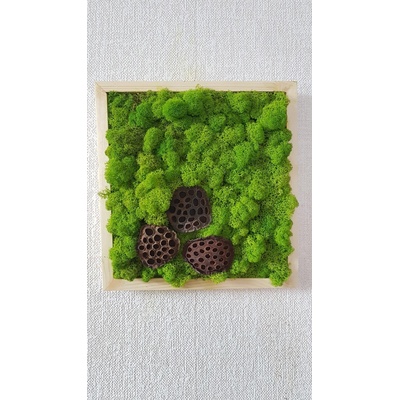 Mechový obraz '' vosí hnízdo '' 33cm x 33cm