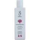 Gestil Care 2.5 Reconstruction Shampoo rekontrukční šampon na barvené vlasy 200 ml