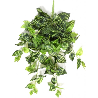 Umelá úponka Peperomia 80 cm