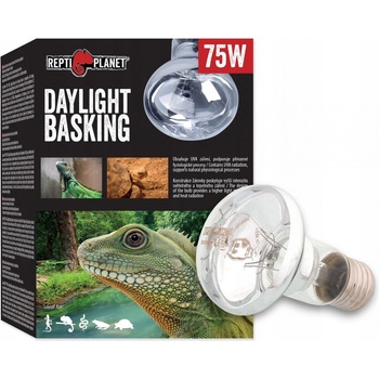 Repti Planet Daylight Basking 75 W