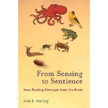 From Sensing to Sentience - Feinberg, Todd E.