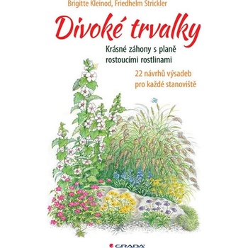 Divoké trvalky