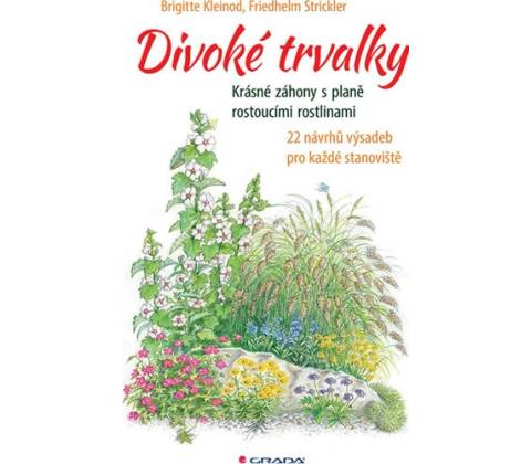 Divoké trvalky