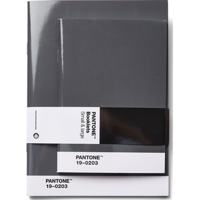 Copenhagen Design Тетрадки с точки Pantone сиви 2 бр (101530203)