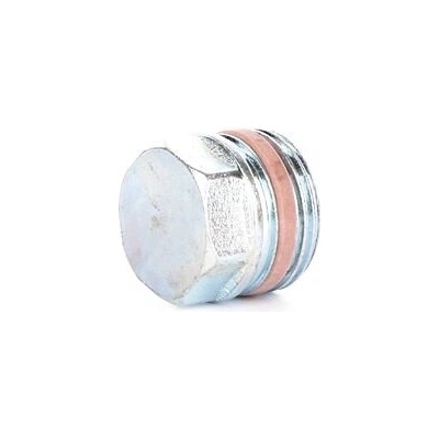 DNK Zátka k anodě 3/4" s těsněním PTFE