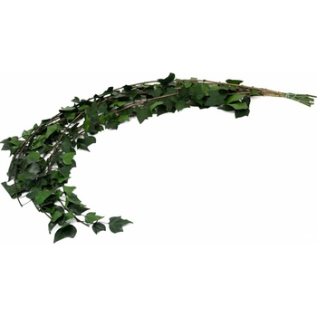 Stabilizovaný brečtan
