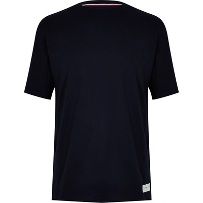 Tommy Hilfiger Short Sleeve T Logo - Desert Sky DW5