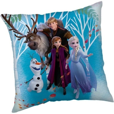 Jerry Fabrics Mikroplyšový vankúš Ľadové Kráľovstvo 02 Family Polyester 40x40