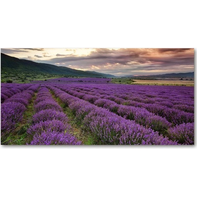 Fotoobraz na skle pole levanduľa 100x50 cm