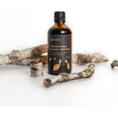 Herbatica Befungin tinktúra s extraktom z čagy sibírskej 100 ml