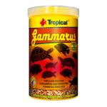 Tropical Gammarus - храна за костенурки