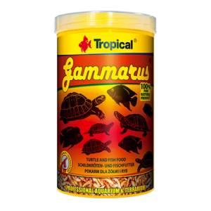 Tropical Gammarus - храна за костенурки