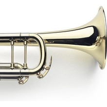 VanLaar B9.1 Bb Trumpet Raw Brass