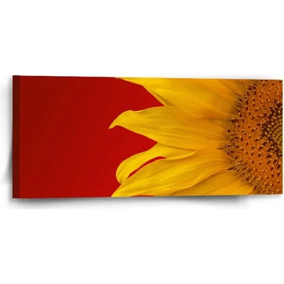 Sablio Obraz Slnečnice - 110x50 cm