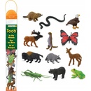 Safari Ltd. Tuba V lese