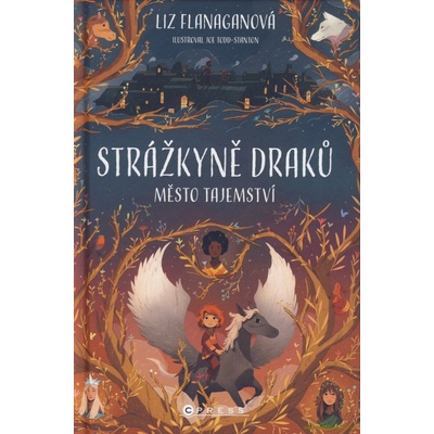 Strážkyně draků: Město tajemství - Liz Flanaganová