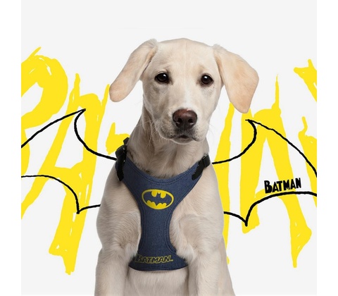 DC Postroj Batman