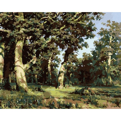 Zuty Malování Podle Čísel Dubový Háj Ivan Shishkin 80 x 100 cm Plátno Rám