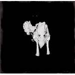 Warner Sigur Ros: Kveikur - 2Vinyl (LP) (061423)