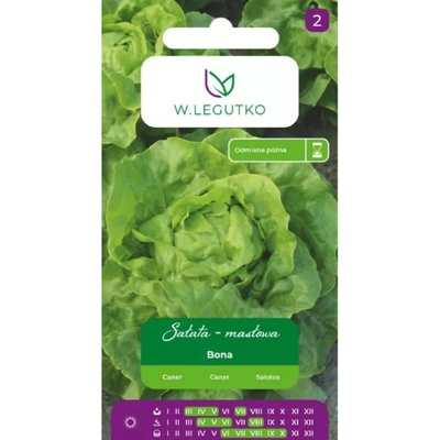 W. Legutko Маруля „Бона - жълтеникаво-зелена, ранен сорт