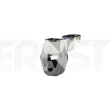 ERNST 499620